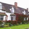 Pretty cottage and garden