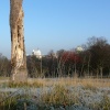 The Royal Observatory in Winter
