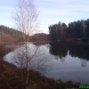 Trout pools
