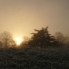 The Park in Winter