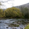 River Wye, Monsal Dale, Derbyshire