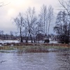 The Lammass Land, Godalming