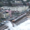 Dawlish in Devon