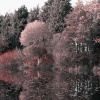 Jubilee Lake, Steeple Claydon