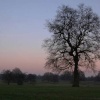 Evening