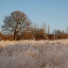 Wyken Slough
