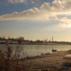 Wyken Slough