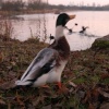 Wyken Slough