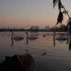 Wyken Slough