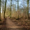 Coombe Abbey Country Park, Binley, Warwickshire