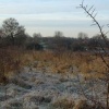 Wyken Slough