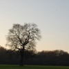 War Memorial Park
