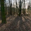 Coombe Abbey Country Park, Binley, Warwickshire
