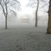 Winter in The Park, Greenwich, Greater London