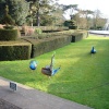More peacocks at Warwick Castle, Warwickshire
