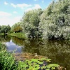 Beverley Beck
