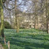 The Backs, Cambridge