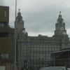 The Liver building