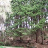 Balquhidder