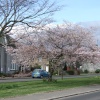 Callander