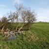 Hill near Quainton, Bucks