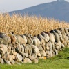 Girvan Golf Course