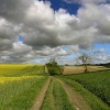 Footpath from Risby to Walkington, East Riding of Yorkshire