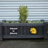 Abram In Bloom 2008
