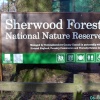 Sherwood Forest, Mansfield, Nottinghamshire