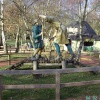 Sherwood Forest, Mansfield, Nottinghamshire