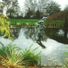 Dolphin Pond, Twycross Zoo, Leicestershire