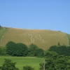 Cerne Giant, Dorset