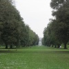 Kew Gardens
