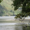 Ullswater nr Glencoyne Bay, Cumbria