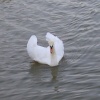 Ulley Country Park, South Yorkshire