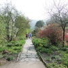 The garden at Hill Top, Near Sawrey, Cumbria
