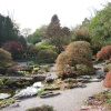 The gardens at Sizergh Castle, Kendal, Cumbria