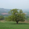 The Wye Valley south of Monmouth, Monmouthshire