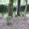 Max Gate: the pet cemetery