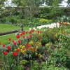 The garden at Charleston Farmhouse, West Firle, East Sussex