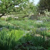 The garden at Charleston Farmhouse, West Firle, East Sussex