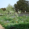 The Garden at Charleston Farmhouse, West Firle, East Sussex