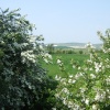 View from the garden Monks House, Lewes, East Sussex