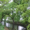 The gardens at Sissinghurst