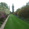 The gardens at Sissinghurst