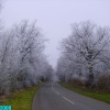 Winterland, Worksop, Nottinghamshire