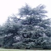 Winterland, Worksop, Nottinghamshire