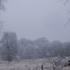Winterland, Worksop, Nottinghamshire
