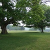 The Park at Knole, Sevenoaks, Kent