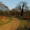 Richmond Park, Richmond upon Thames, Greater London
